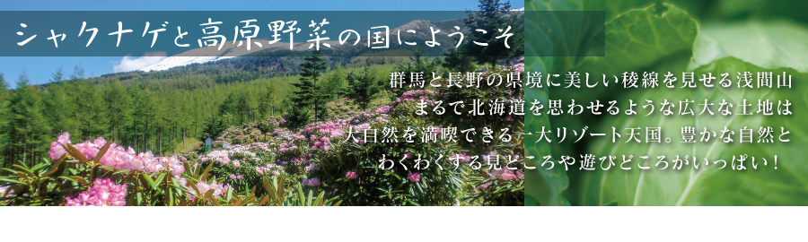 シャクナゲと高原野菜の国にようこそ　浅間高原観光協会