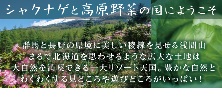 シャクナゲと高原野菜の国にようこそ　浅間高原観光協会